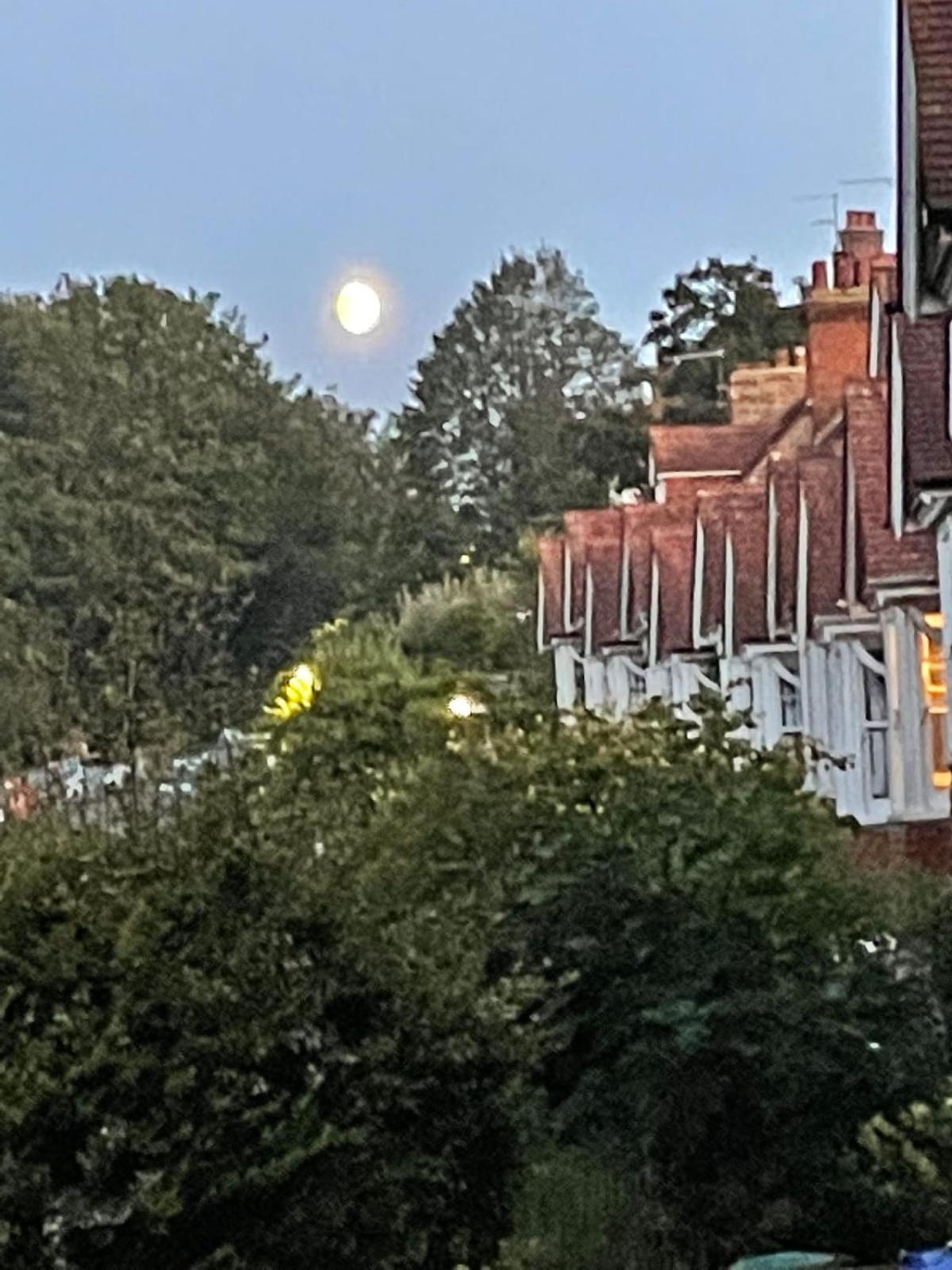 Large Townhouse In Lewes, National Park Villa Dış mekan fotoğraf